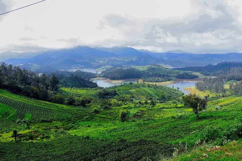 Ooty