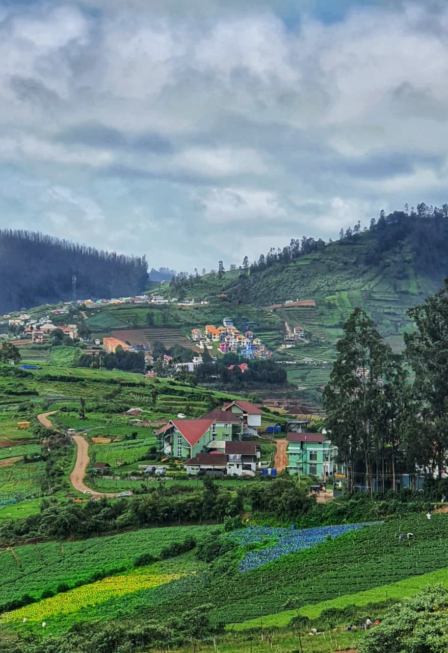 Ooty — 3