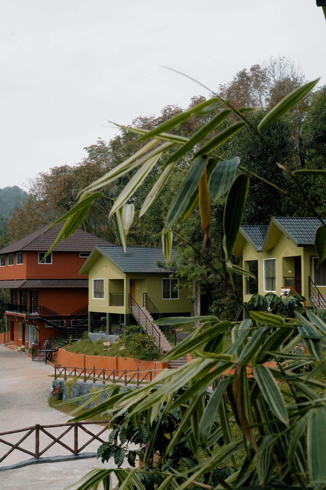 Wayanad